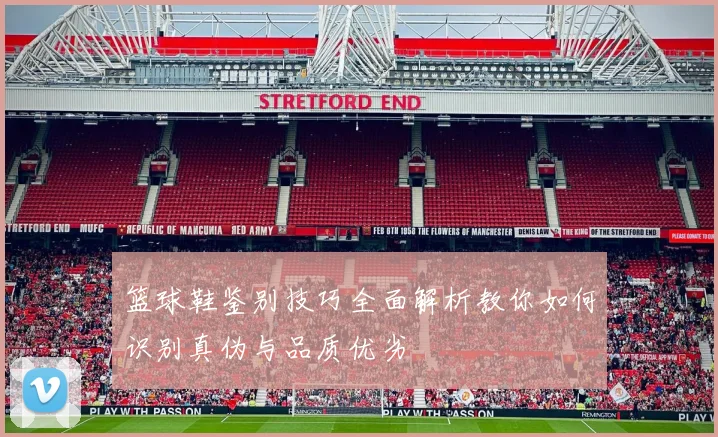 篮球鞋鉴别技巧全面解析教你如何识别真伪与品质优劣