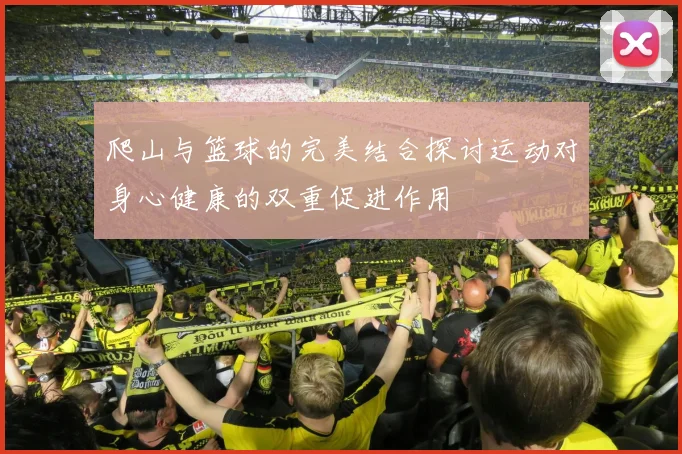 爬山与篮球的完美结合探讨运动对身心健康的双重促进作用