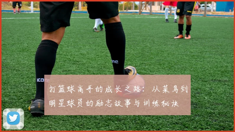 打篮球高手的成长之路：从菜鸟到明星球员的励志故事与训练秘诀