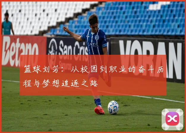 篮球刘芳：从校园到职业的奋斗历程与梦想追逐之路