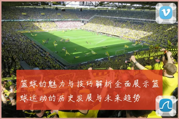 篮球的魅力与技巧解析全面展示篮球运动的历史发展与未来趋势