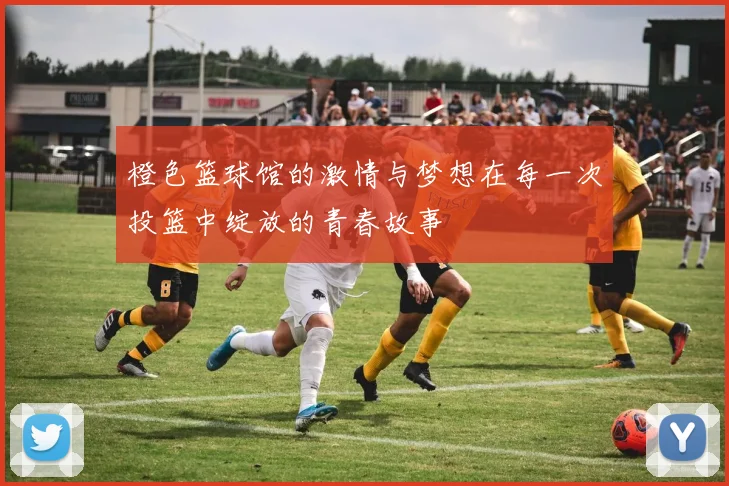 橙色篮球馆的激情与梦想在每一次投篮中绽放的青春故事